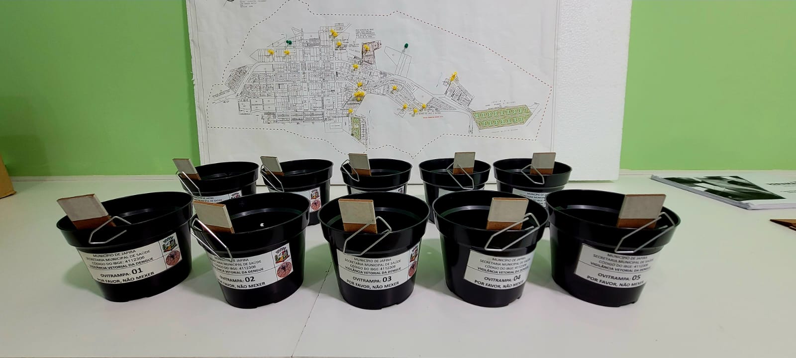 Açoes contra a dengue