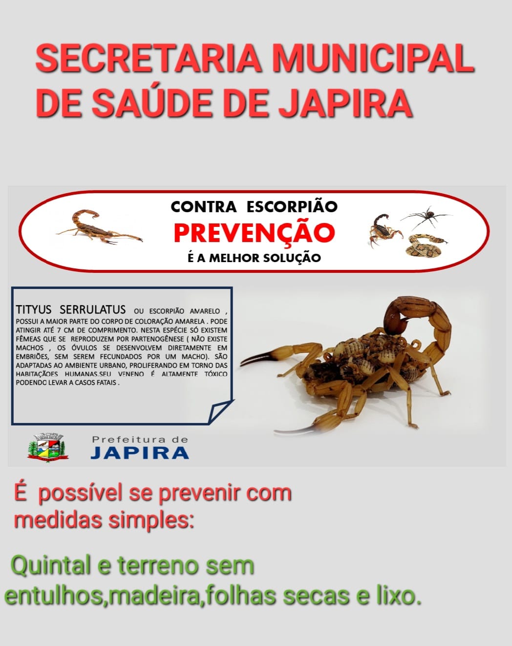 xa0Prefeitura Municipal de Japira através da Secretaria Municipal de Saúde, e do setor de Vigilância em Saúde, faz um comunicado a toda população japirense