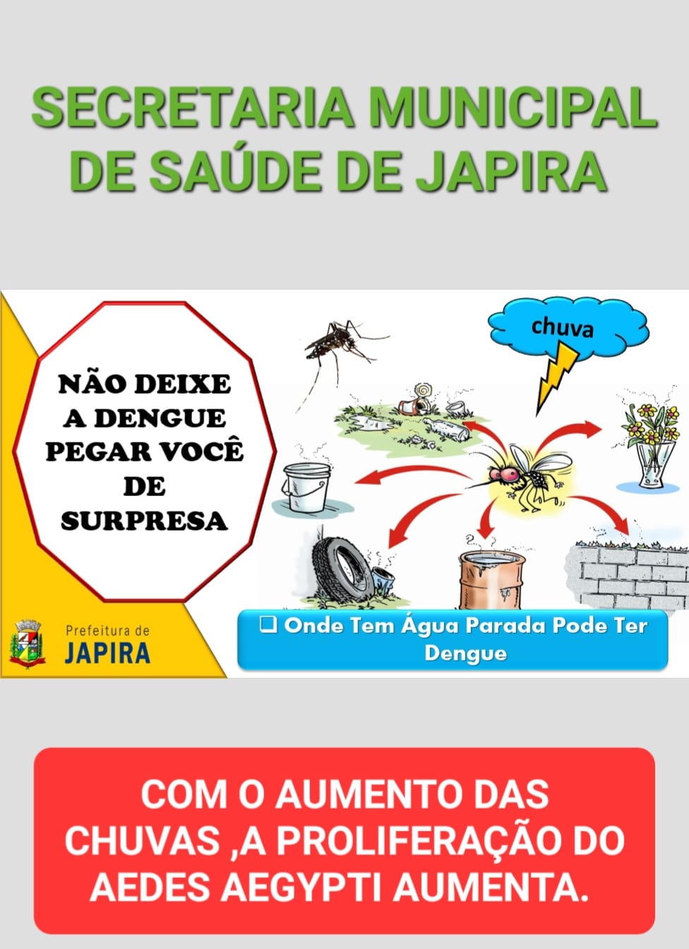 COMBATE A DENGUE