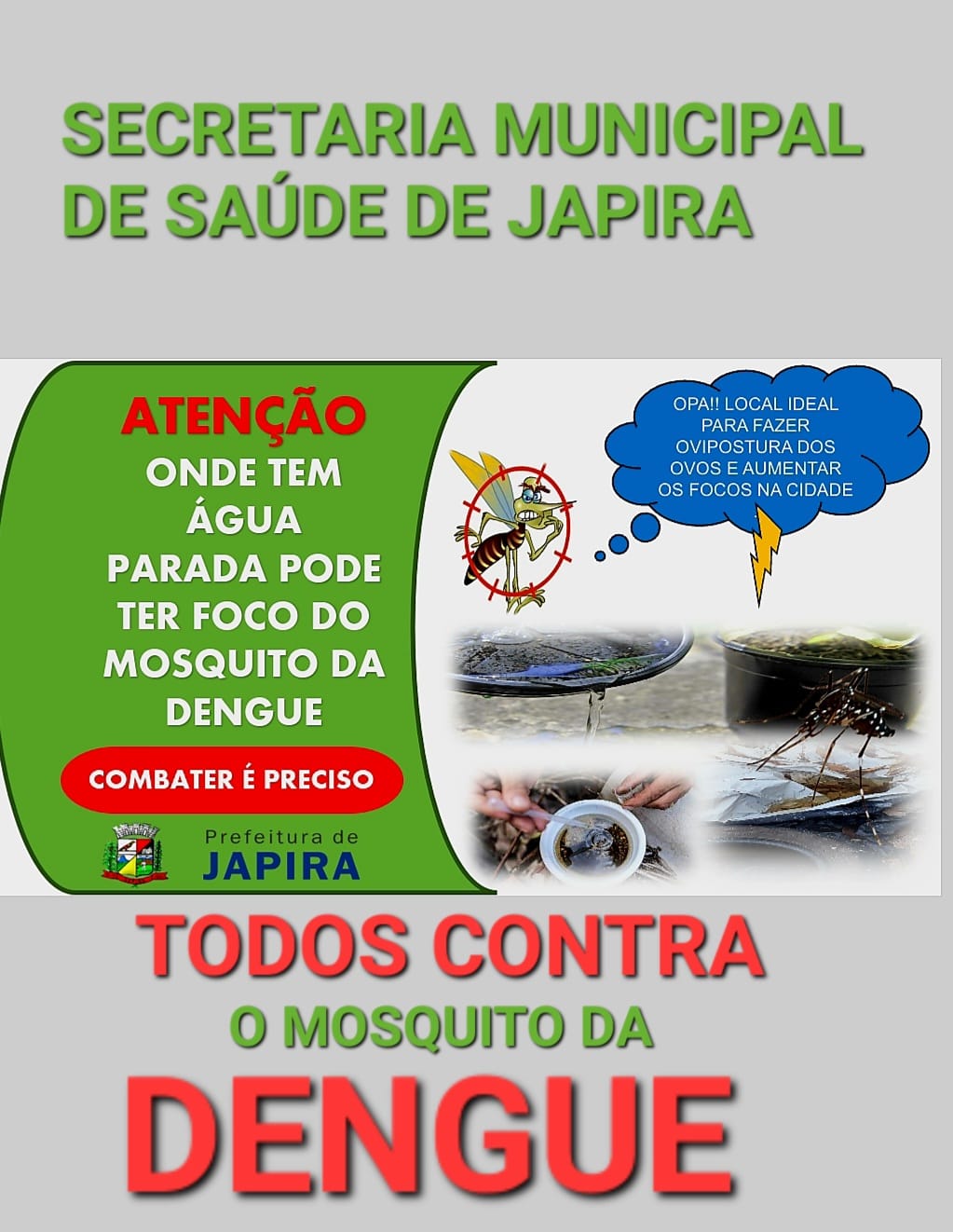 TODOS CONTRA A DENGUE