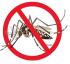 Secretaria municipal de Saúde de Japira divulga sobre combate à dengue