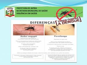 NO COMBATE A DENGUE NINGUÉM PODE FICAR PARADO MUITO MENOS A ÁGUA.