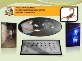 A Secretaria Municipal de Saúde (SMS) realizou ação de vistoria e captura de escorpiões amarelos na noite dos dias 22,23 e 24 de Junho