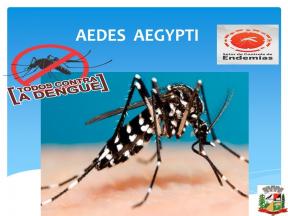 A Prefeitura de Japira e a Secretaria Municipal de Saúde, vem comunicar a toda população que fique em alerta ao mosquito da dengue, lança companha 10 minutos por semana fique livre da dengue.