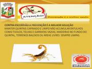 A Prefeitura de Japira e Secretaria Municipal de Saúde, através do Setor de Controle Endemias divulga medidas preventivas, a população com os Agentes de Combate de Endemias.
