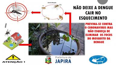 O Aedes aegypti é um mosquito doméstico. 