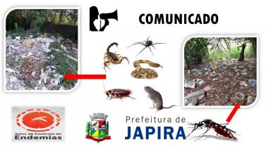 A Prefeitura de Japira e a Secretaria municipal de Saúde informa, a todos os proprietários de terrenos baldios