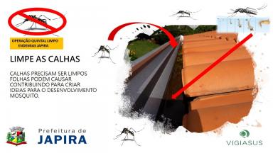 Dicas contra a dengue: faça a sua parte