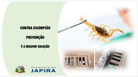 A Prefeitura Municipal de Japira e a Secretaria Municipal de Saúde vem orienta toda população japirense. 