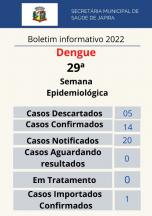 Boletim informativo Dengue 2022.
