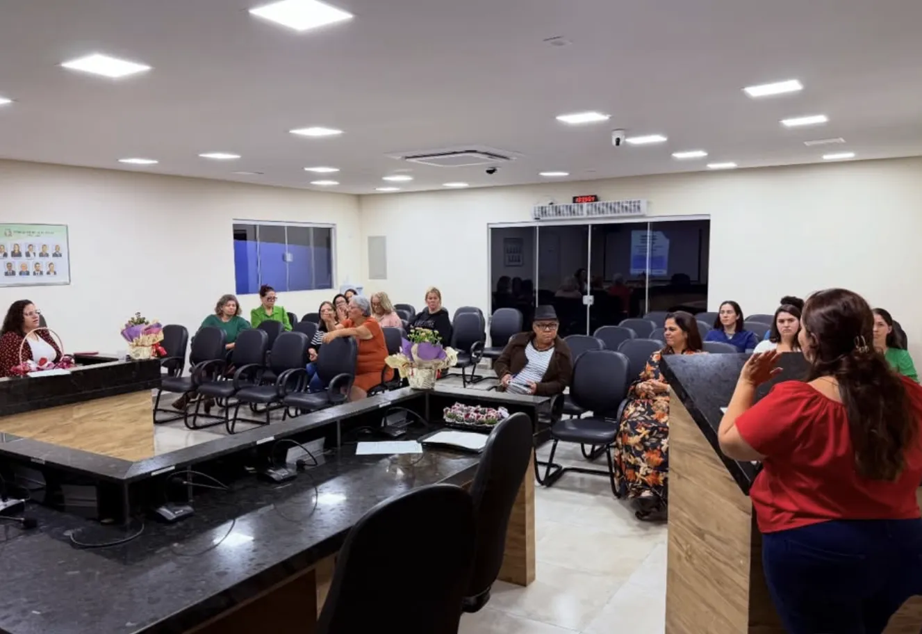  Reunião Ampliada Eletiva do Conselho Municipal dos Direitos da Mulher