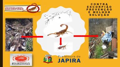 CONTROLE E PREVENÇÃO DE ARACNIDEOS  AS SEGUINTES MEDIDAS SÃO EFICAZES PARA O CONTROLE E PREVENÇÃO DE ACIDENTES COM ARANHA E ESCORPIÃO. 