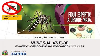 Dicas contra a dengue: faça a sua parte